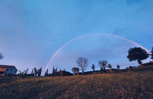 San Isidore - Foto 31