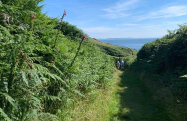 The Old Chapel - Photo 27