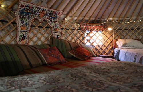 Hapus Yurt - Two Beautiful Yurts and Barn Cottage - Foto 100