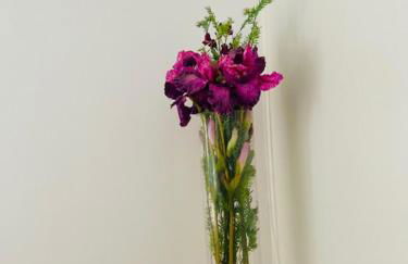 Atico Julia Plaza - Foto 6