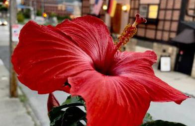 Unique Artsy 2 Bdrm Apt 1.5 mi from Downtown - Foto 54