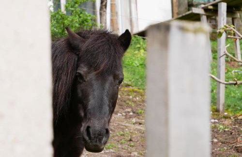 Bühlbauernhof - Foto 12