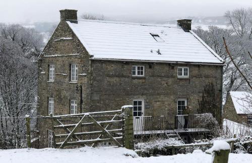 Wonderfully Scenic and Comfortable Dales Mill Property - Photo 43