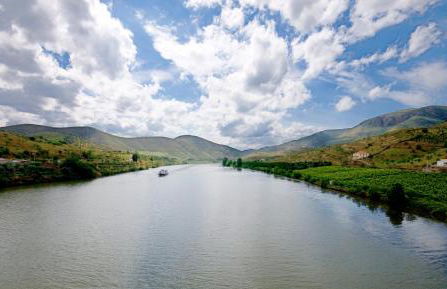 Quinta Da Ponte - Foto 20