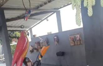 Casa condomínio clube - Foto 17