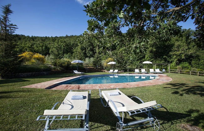 Verdidea - PODERE MONTI - Photo 46