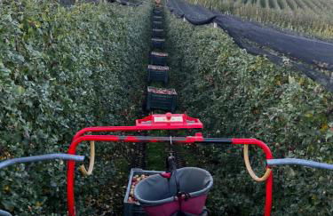 Maso Valèr - Agritur - Foto 53