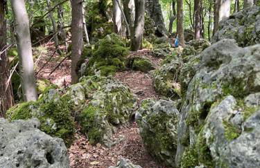 Wunderwelt Betzenstein familiär-ländlich-modern - Foto 16