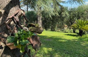 Tuscany Time - Foto 11