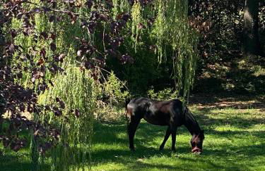 San Biagio - Foto 11