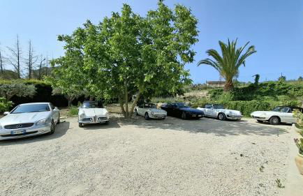 Manfredomus - Foto 111