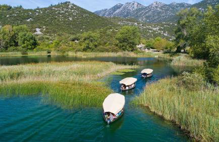 Villa Lucija - Foto 31