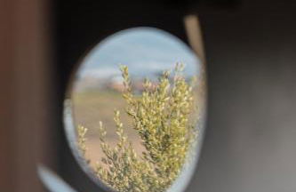 Agriturismo L'Elisir di Atena - Foto 30