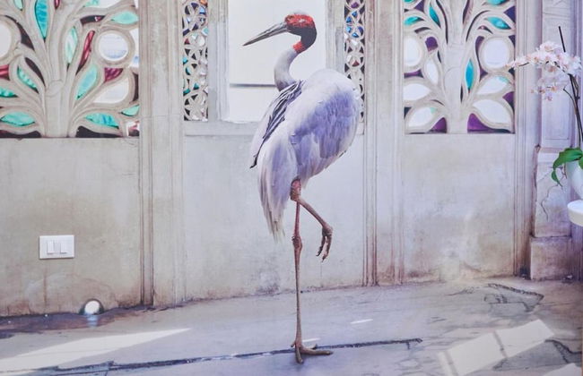 Artistic Charming House - Foto 33