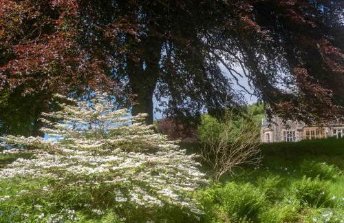 Torloisk House - Foto 41