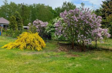 Ferienhaus am Birkenwaeldchen - Motzener See 150m - Foto 48