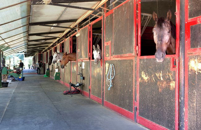 Cozy Tuscan Getaway - Foto 27