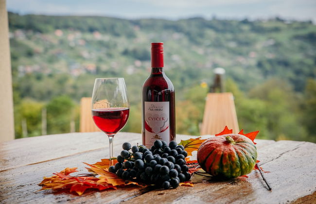 Vineyard cottage Na hribu - Photo 28