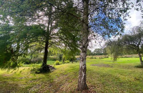 Dairy Farm - Foto 33