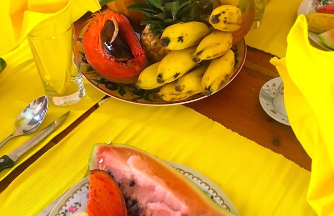 Holiday rental in Havana with terrace - Photo 16