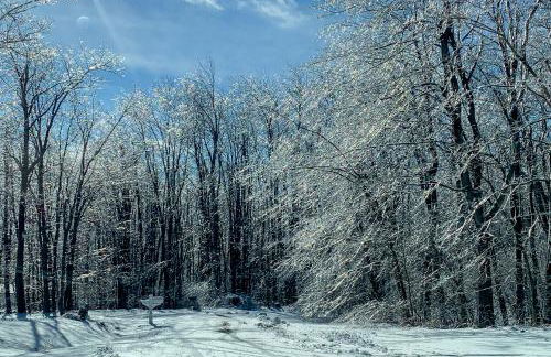 Whistle and Quill Lodge - Foto 41