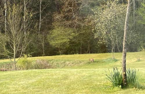 Logement entier de charme, gite équestre GERS Flamarens - Foto 77