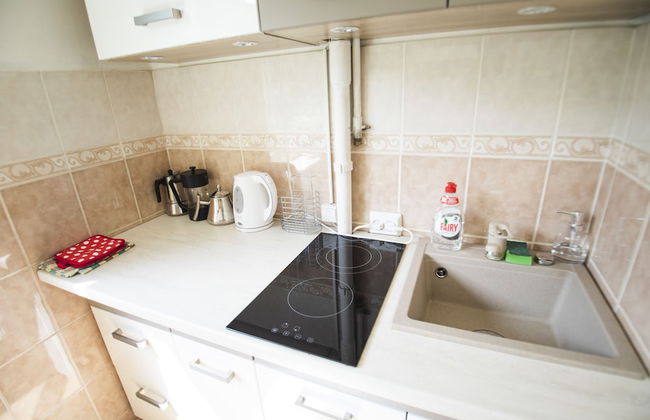 Aura City Center Tartu Holidays - Foto 8