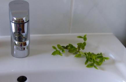 Amselgarten - Foto 53