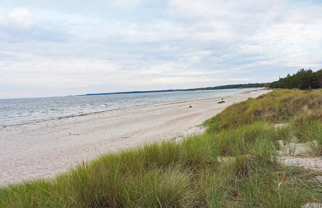 4 Person Holiday Home in Byxelkrok - Foto 16