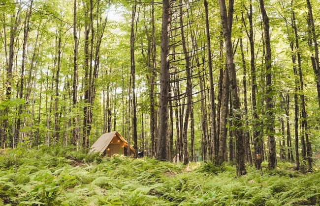 Huttopia Sutton - Photo 62