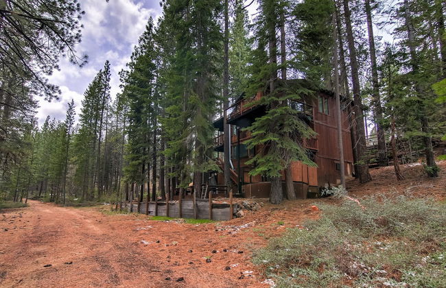 Bear Haus - Fur Babies Welcome! - Foto 28