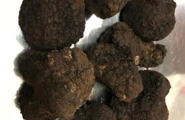 Ma. De House Lago del Turano - Foto 55