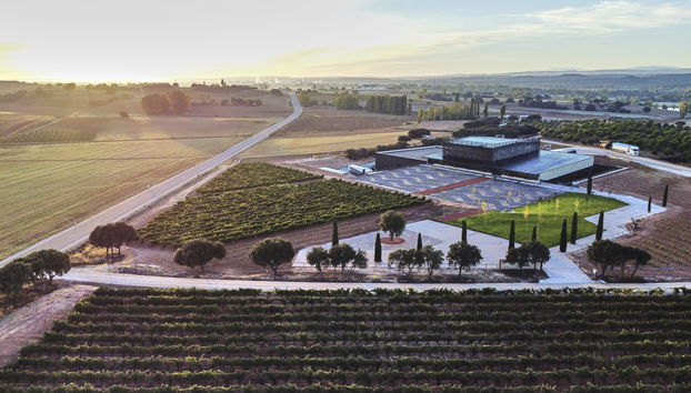 Bodega Bela - Villalba de Duero (Burgos) - Photo 3
