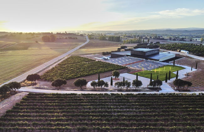 Bodega Bela - Villalba de Duero (Burgos) - Photo 3