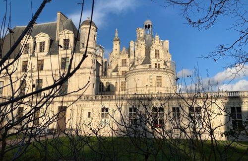 Au Coeur des Châteaux - Foto 35