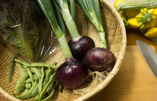 SUKIYA-zukuri Suehiro House - Photo 21