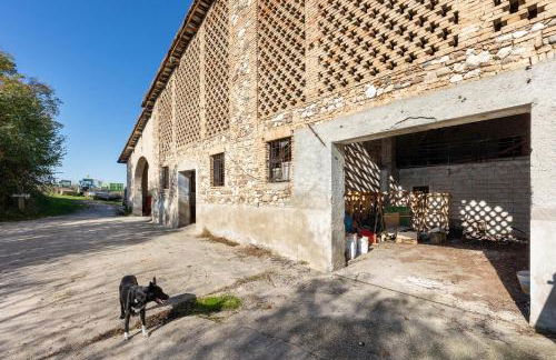 Nuova Scardua Agr Cucina Tipica - Foto 8