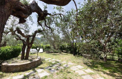 La Dimora dei Dolci Ricordi Trasimeno Hideaway - Foto 56