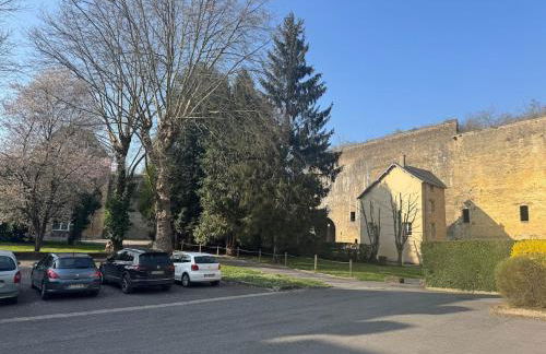 Suite EVASIO, au pied du château fort, parking privé - Foto 28