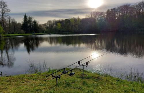 "Le petit bonheur" Gîte van 4 tot 12 personen met privé vijver van 2Ha - Foto 21