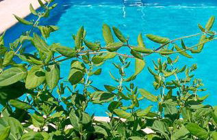 Alojamientos CUEVAS TIANA - Photo 26