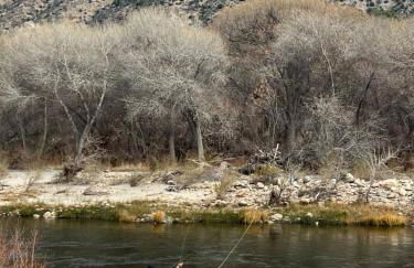 Mountain View Home - Foto 25