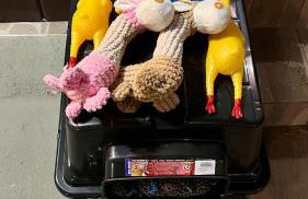 Casa Brisa do Amanhecer - Foto 31