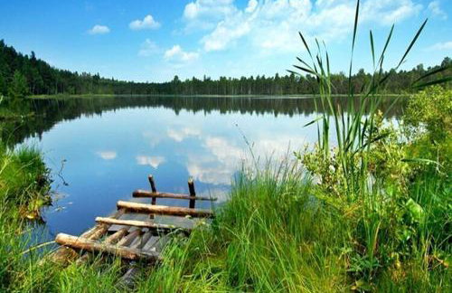 Comfortable holiday homes, pool, sauna, jacuzzi - Foto 28