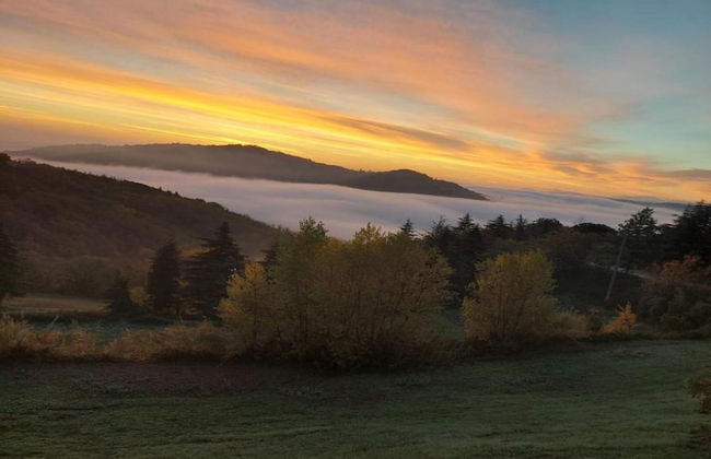 Lovely Holiday Home in Monte Colombo on Farm - Foto 74