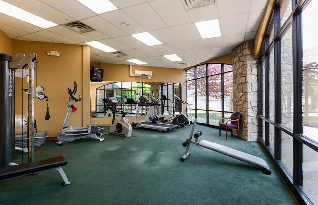 The Splendor - Foto 9