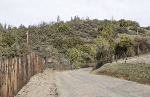 Hummingbird Hill - Entire Cabin - Foto 41