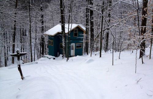 Rustic Off-Grid Cabin Getaway near Wayne National Forest, Ohio - Foto 28