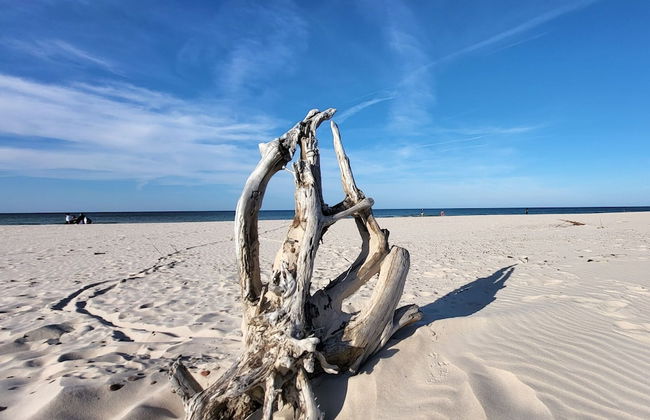 Fantastic House, Located Among Meadows and Nature, Near the Sea - Photo 72