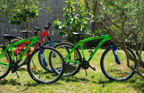 Four-Bedroom Holiday Home Kucice With A Fireplace 09 - Photo 10